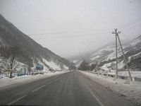 DSCN5171