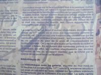 DSCN5245