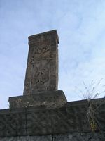 DSCN5246