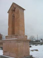 DSCN5271