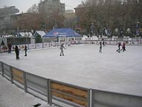 DSCN5295