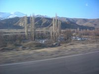 DSCN5317