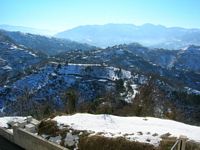 DSCN5341