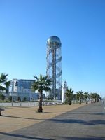 DSCN5347