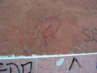 DSCN5362
