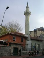 DSCN5365