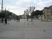 DSCN5369