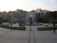 DSCN5398