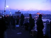 DSCN5407