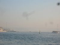 DSCN5411