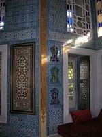 DSCN5425