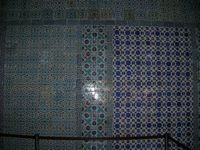 DSCN5427