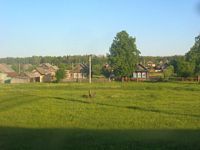 DSCN5471