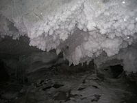 DSCN5509