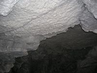 DSCN5510