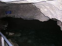 DSCN5512
