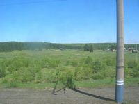 DSCN5536