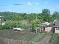 DSCN5647