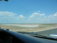 DSCN5696