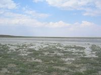 DSCN5712