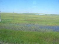 DSCN5720