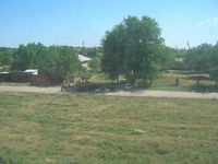 DSCN5720