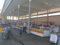 DSCN5740