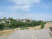 DSCN5508
