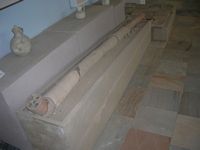 DSCN5508