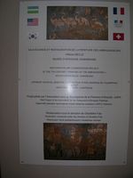 DSCN5508