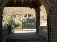 DSCN5508