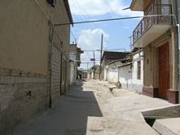 DSCN5508