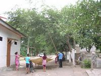 DSCN5508