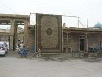 DSCN5872