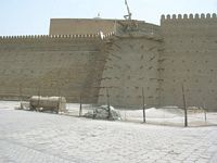 DSCN5880