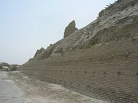 DSCN5881
