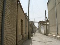 DSCN5888