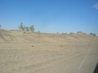 DSCN5945