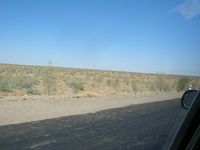 DSCN5946