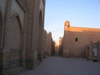 DSCN5972