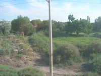 DSCN6052