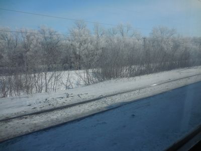 tn_DSCN0233