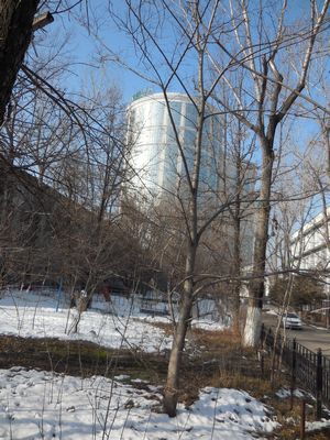 tn_DSCN0245