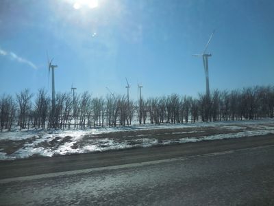 tn_DSCN0311