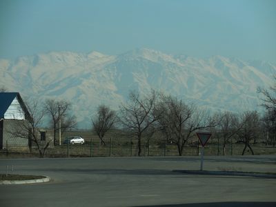 tn_DSCN0337