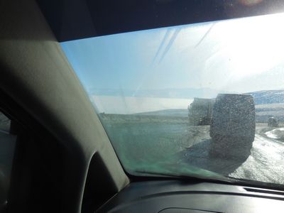 tn_DSCN0345