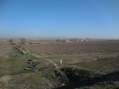 tn_DSCN0378