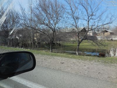 tn_DSCN0390