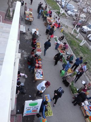 tn_DSCN0392