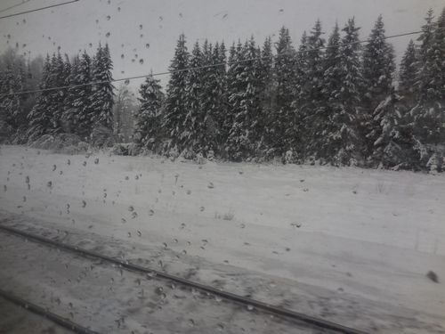 tn_DSCN0649